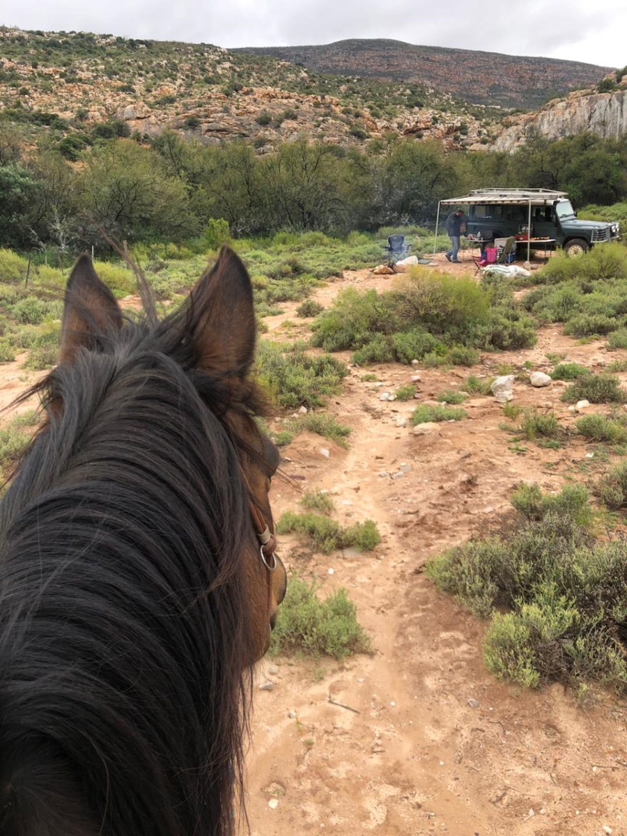  Bedroom Property for Sale in Ladismith Rural Western Cape